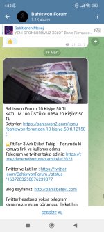 Screenshot_2023-03-19-04-13-45-826_org.telegram.messenger.web.jpg