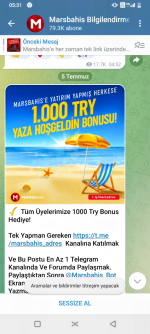 Screenshot_20240801-053116~2.png