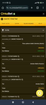 Screenshot_2025-01-05-17-11-46-380_com.android.chrome.jpg