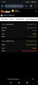 Screenshot_2025-01-05-18-18-29-556_com.android.chrome.jpg