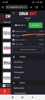 Screenshot_2025-03-13-19-21-17-428_com.miui.gallery.jpg