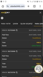 Screenshot_20250728-161605_Chrome.jpg