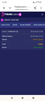 Screenshot_20260528-225627.webp