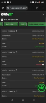 Screenshot_20260529-012306.webp
