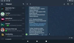 Screenshot_20220618-135655.webp