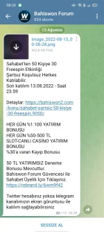 Screenshot_2022-08-13-08-20-36-26.webp